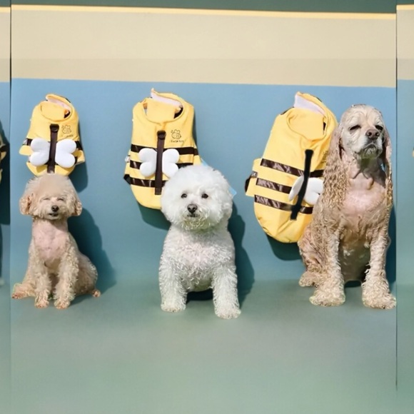 Bumble Bee Dog Swim Vest / Size L - Picture 2 of 4